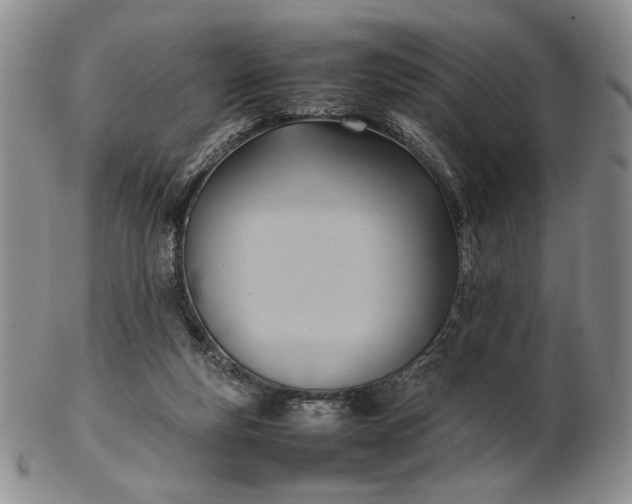 X0000102760163200809021015