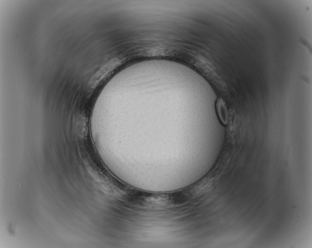 X0000102760164200809021015