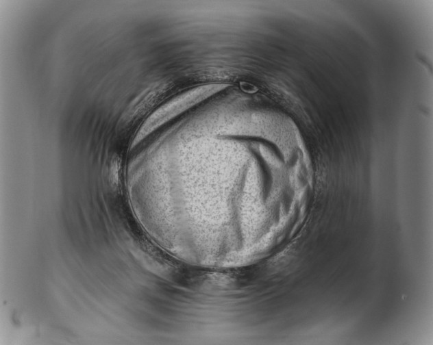 X0000102760166200809021015