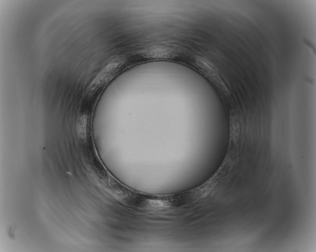 X0000102760167200809021015