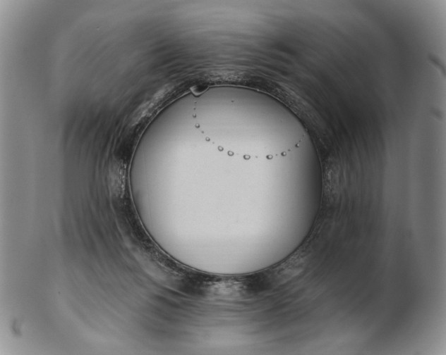 X0000102760168200809021015