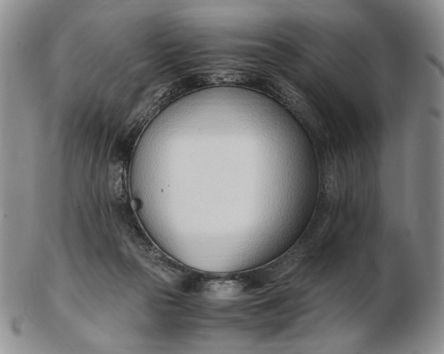 X0000102760169200809021015