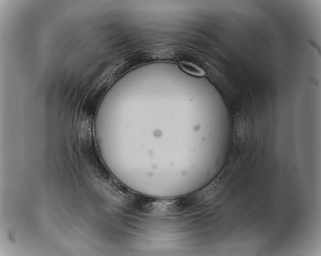 X0000102760172200809021015