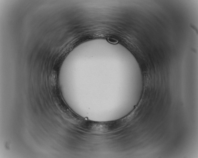 X0000102760174200809021015