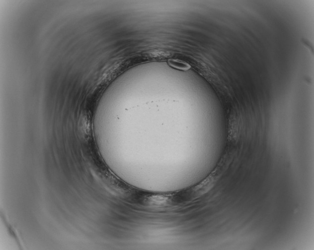 X0000102760176200809021015