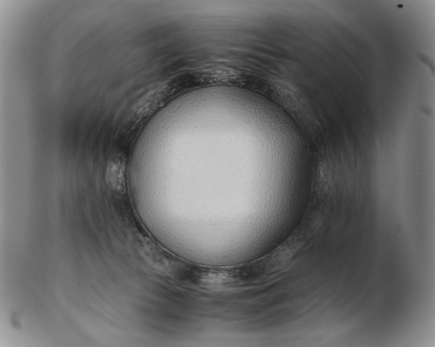 X0000102760177200809021015