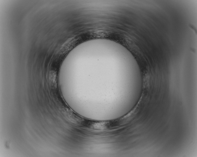 X0000102760178200809021015