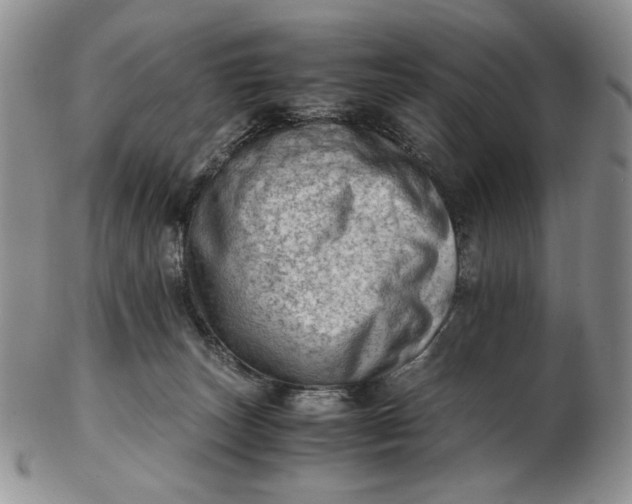 X0000102760179200809021015