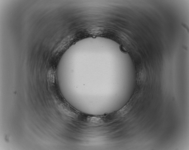 X0000102760180200809021015