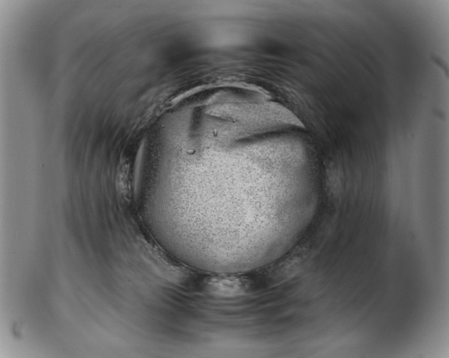 X0000102760181200809021015