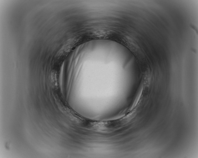 X0000102760182200809021015