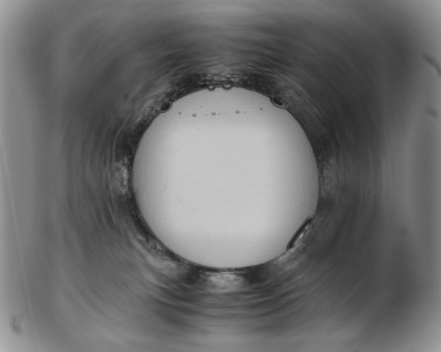 X0000102760183200809021015