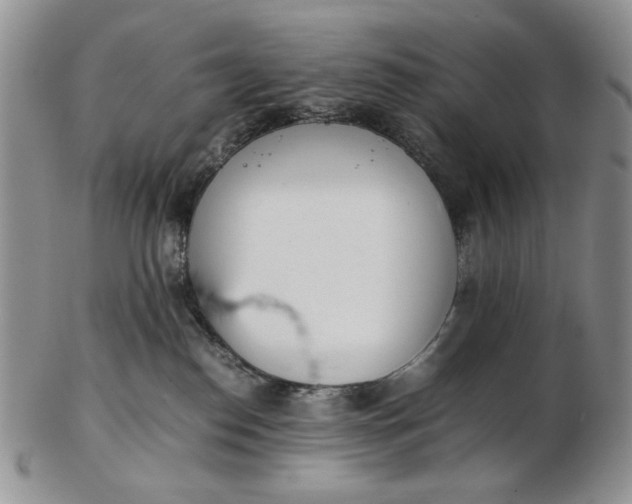 X0000102760186200809021015