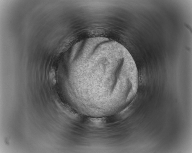 X0000102760187200809021015