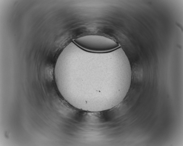 X0000102760188200809021015