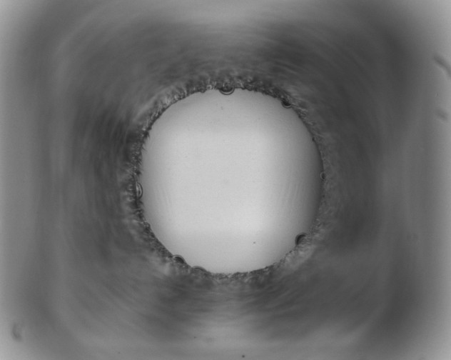 X0000102760192200809021015