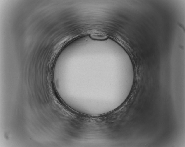 X0000102760193200809021015