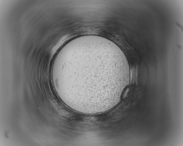 X0000102760195200809021015