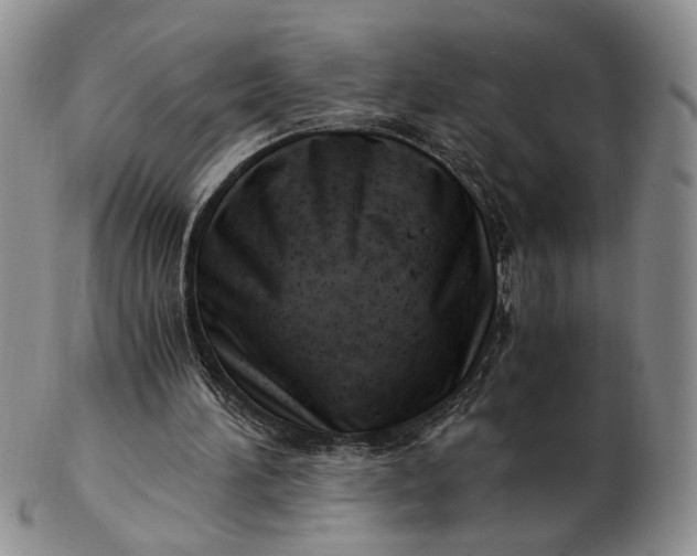 X0000102760196200809021014