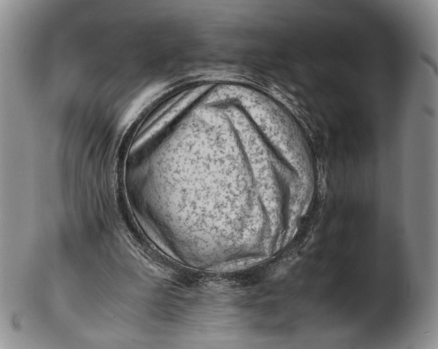 X0000102760199200809021014