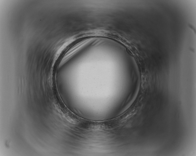 X0000102760200200809021014