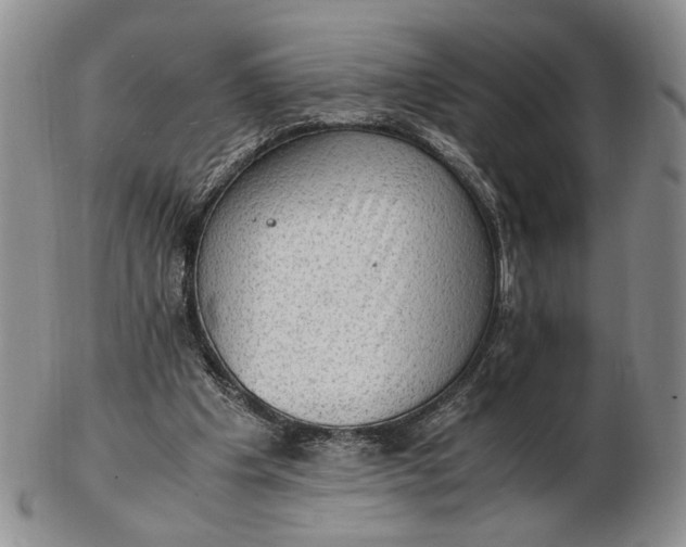 X0000102760201200809021014