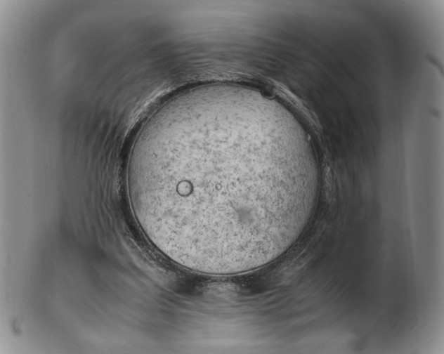 X0000102760203200809021014