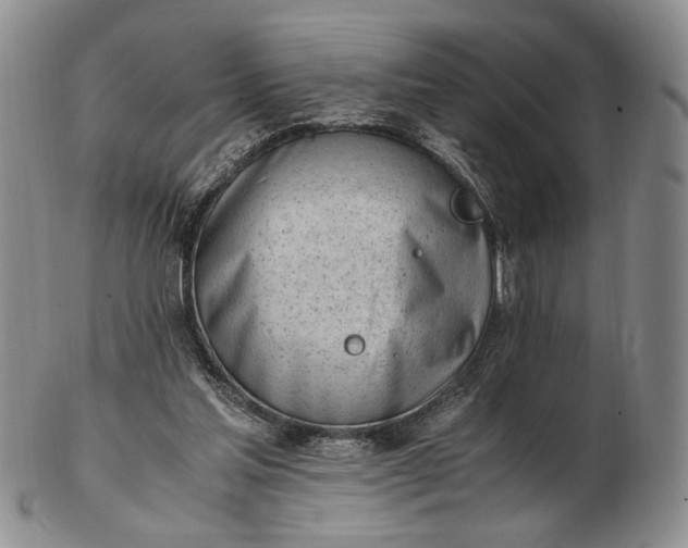 X0000102760205200809021014