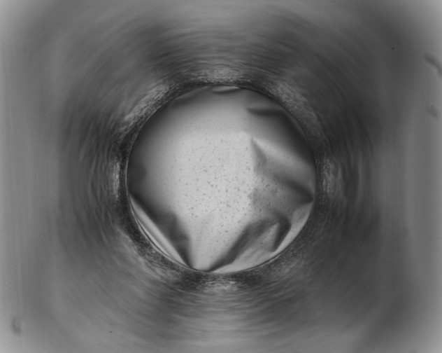 X0000102760206200809021014