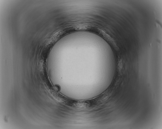 X0000102760209200809021014