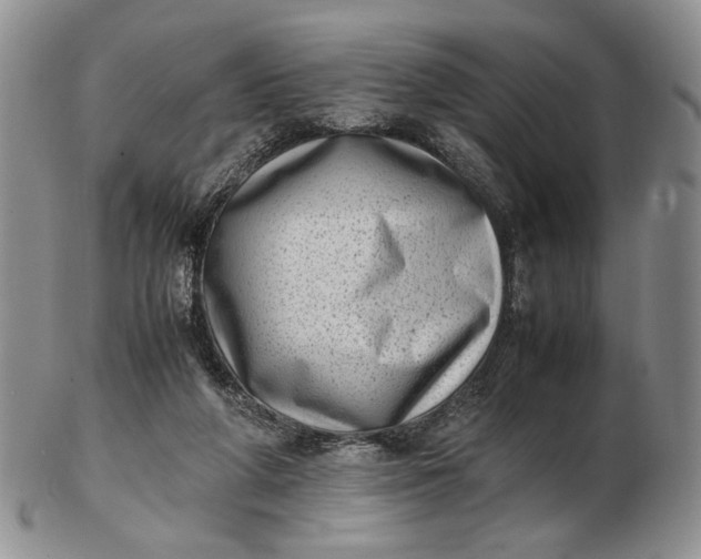 X0000102760210200809021014