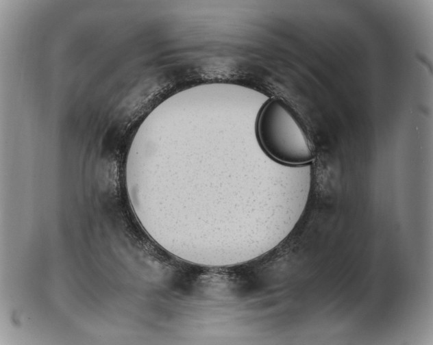 X0000102760211200809021014