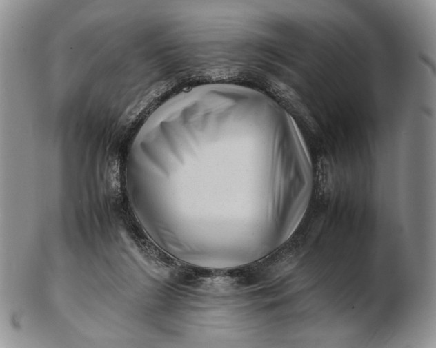 X0000102760212200809021014