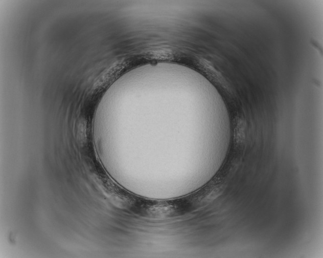 X0000102760213200809021014