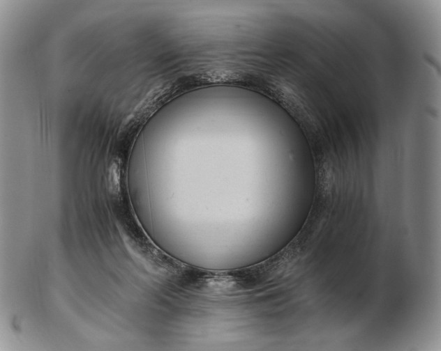 X0000102760214200809021014