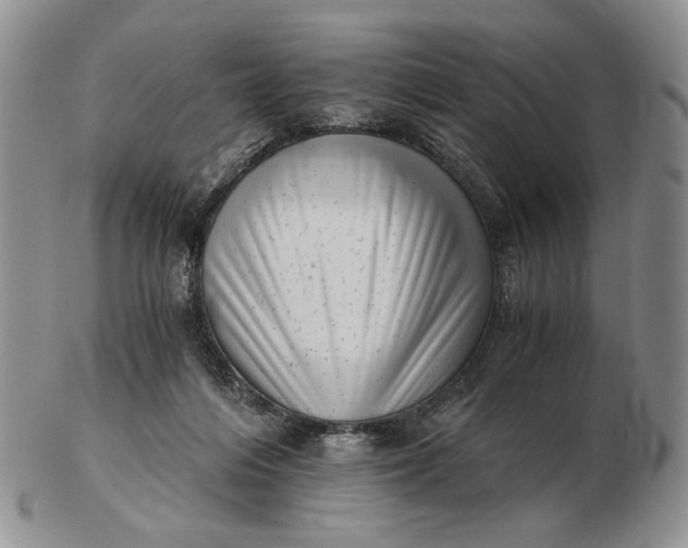 X0000102760216200809021014