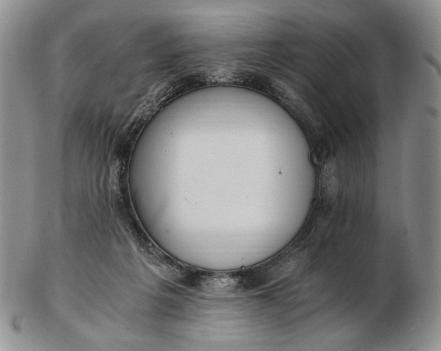 X0000102760217200809021014