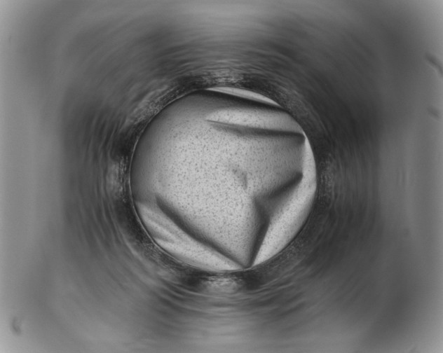 X0000102760218200809021014