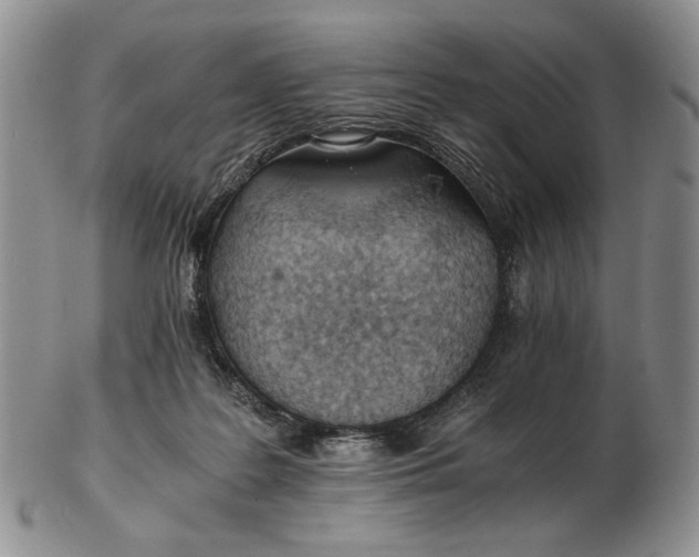 X0000102760219200809021014