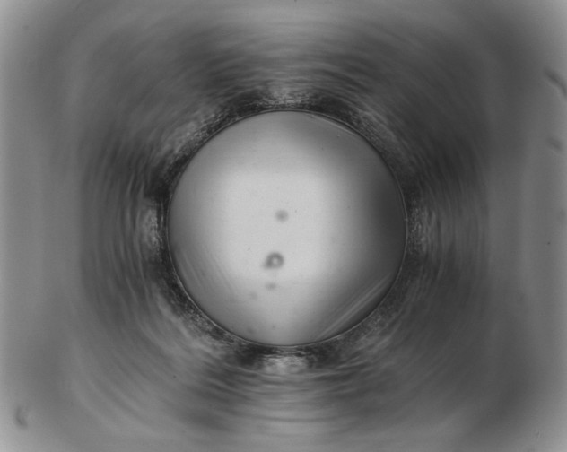 X0000102760220200809021014