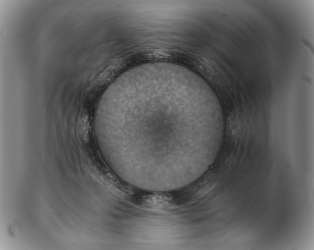 X0000102760223200809021014