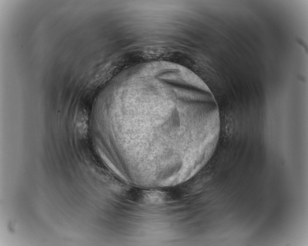 X0000102760226200809021014