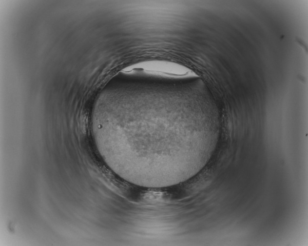 X0000102760227200809021014