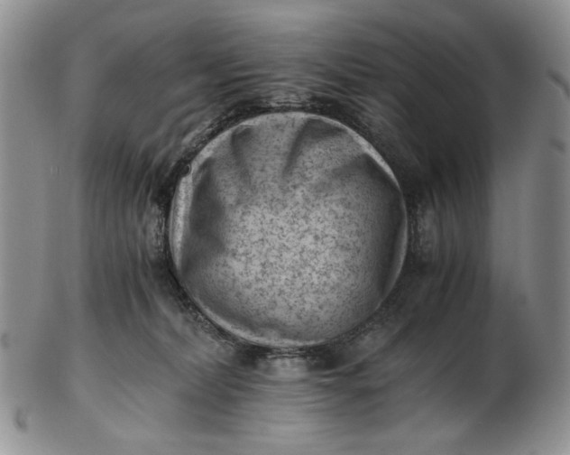 X0000102760228200809021014