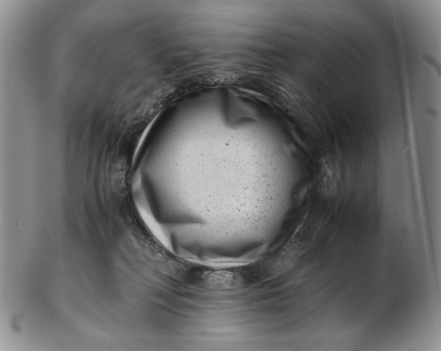 X0000102760230200809021014