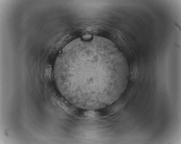 X0000102760231200809021014