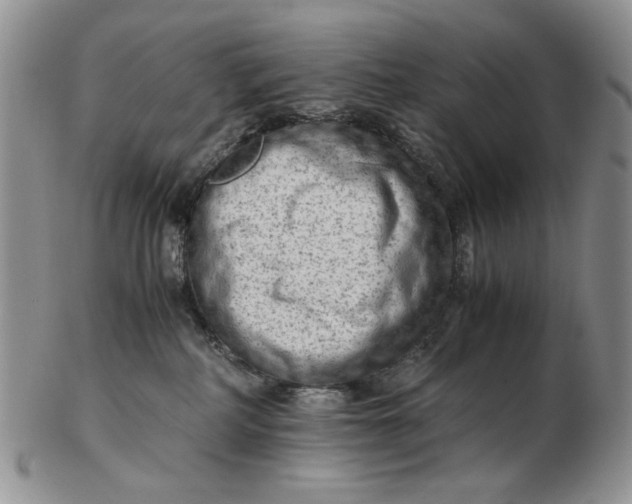 X0000102760234200809021014