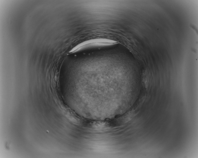 X0000102760235200809021014