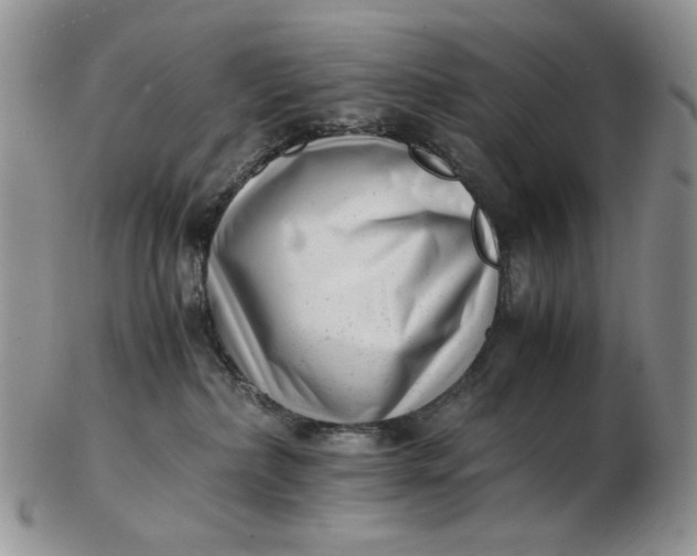 X0000102760236200809021014