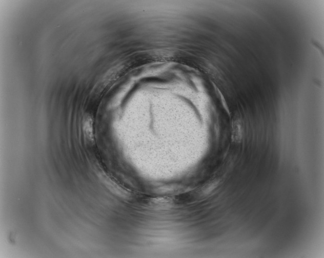 X0000102760238200809021014